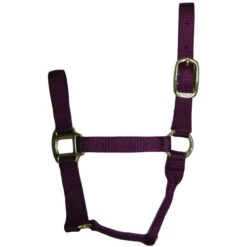 Hamilton Quality 1" Nylon Halter -Equestrian Supply Store quality 1in nylon halter wine 1QWN hamilton 54194.1685665738