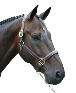 Red Barn Kate Fancy Stitch Halter -Equestrian Supply Store red barn kate halter brown brass W kl select 63727.1682796912