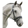 Red Barn Passage Snaffle Bridle -Equestrian Supply Store red barn passage bridle kl select 74300.1643852185
