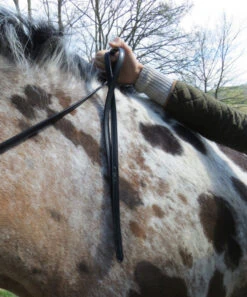 Dy'on Rolled Flat Reins