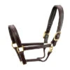 Walsh Signature Pony Halter -Equestrian Supply Store signature halter havana brown brass walsh 17538.1557953983
