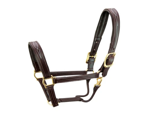 Walsh Signature Pony Halter 3 Walsh Signature Pony Halter