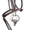 Signature By Antarès Training Bridle -Equestrian Supply Store signature training bridle brown cheek with bit SIGOB BRD2 antares 84353.1674091349
