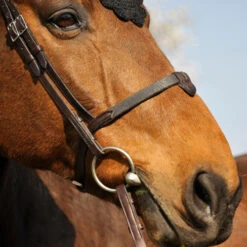 In Horse We Trust Soft T Noseband With Flash -Equestrian Supply Store soft t noseband havana side SOFT T NOSEBAND in horse we trust 09753.1658872130