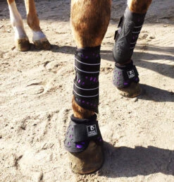 Majyk Equipe Sport/Dressage Boots -Equestrian Supply Store sportdressagepurple 83089 87931.1527295834