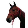 Double Diamond 100 Stiff Rope Halter -Equestrian Supply Store stiff rope halter 100 red double diamond 46964.1635013220