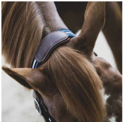 Antarès Stressless Leather Halter -Equestrian Supply Store stressless halter crown antares 08946.1643753932