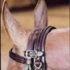 Tory Leather Chambon -Equestrian Supply Store tory leather chambon 25 37528 28049.1556067499