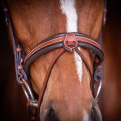 PÉNÉLOPE Pénélope US Bridle -Equestrian Supply Store us bridle hazelnut noseband front 301 602 318 penelope 28145.1688760568