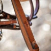 PÉNÉLOPE Pénélope US Laced Reins -Equestrian Supply Store us laced reins buckle hazelnut 301 636 317 penelope 40935.1688761766