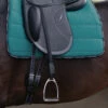 Passier Velvet Touch Mono Stirrup Leathers -Equestrian Supply Store velvet touch mono leather saddle 030 passier 36176.1684543409