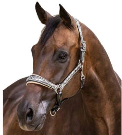 Halter Ego Venetian Floral Halter -Equestrian Supply Store venetian floral halter slvr crm halter ego 46536.1682705257