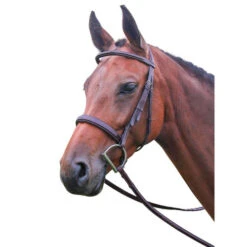 Vespucci Veritas Wide Fancy Stitch Hunter Bridle -Equestrian Supply Store veritas hunter bridle 710434 vespucci 30983.1643140852