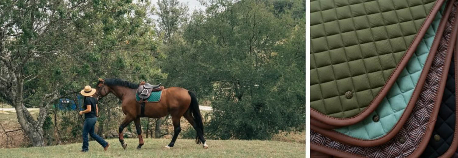 Equestrian Supply Store -Equestrian Supply Store fhfgh